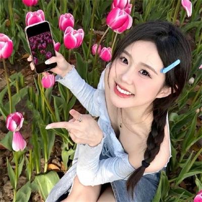 杀瓜 在线观看