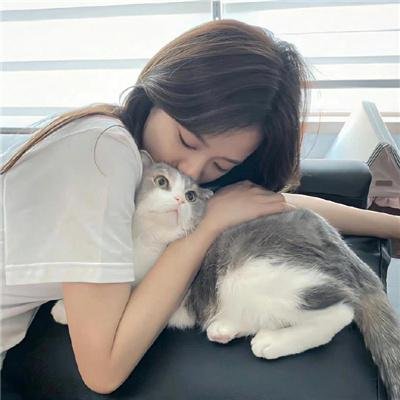 新房客 在线观看